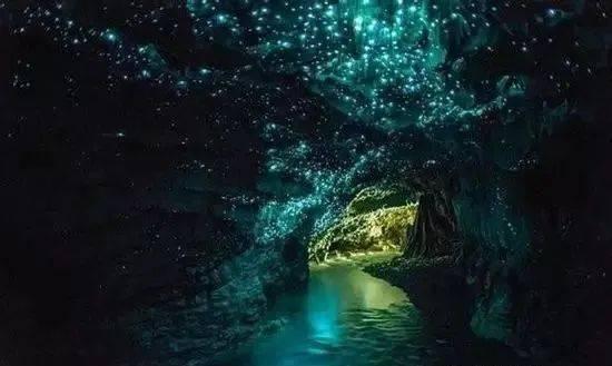 虫虫助手下载