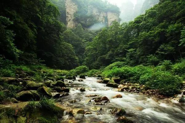 39×7+39×8-39×5怎么简算？